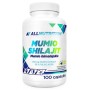 Mumio Shilajit - 100 capsules