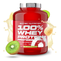 100% Whey Protein Professional
