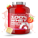 100% Whey Protein Professional
