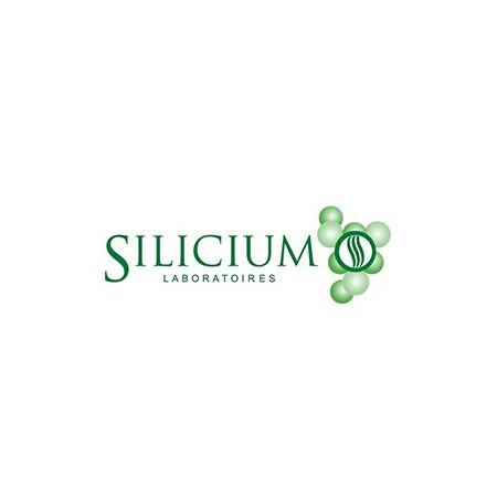 Silicium Laboratoires